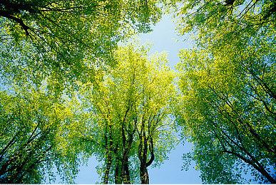 致敬世嘉DC经典JRPG的空贼RPG新作公布游戏预告